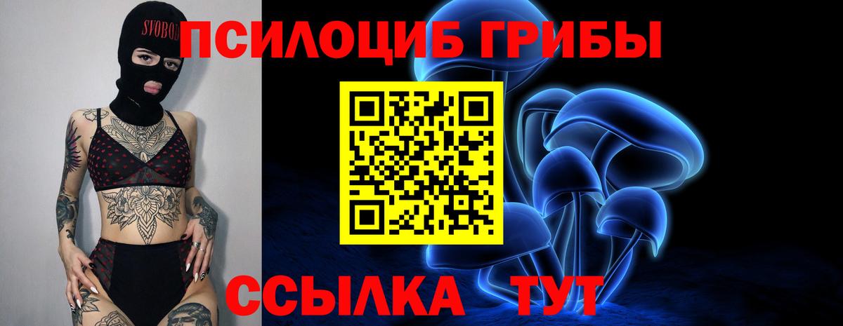 Псилоцибиновые грибы Psilocybine cubensis  Псилоцибиновые грибы Psilocybine cubensis  Вход с VPN  Выкса 